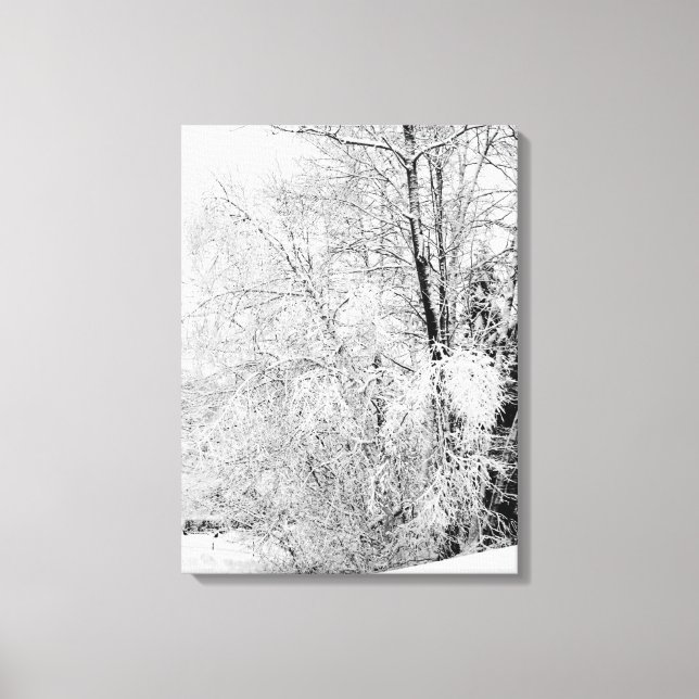 Winter Whites Canvas Print (Front)