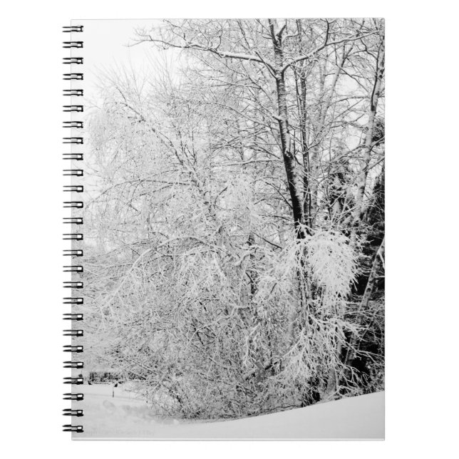 Winter Whites Notebook (Front)