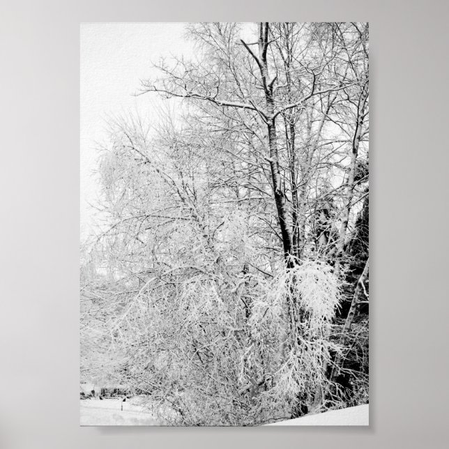 Winter Whites Print (Front)