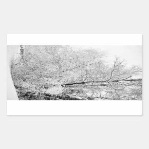 Winter Whites Rectangular Sticker