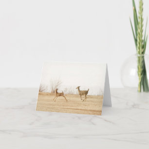 Winter Whitetails Card