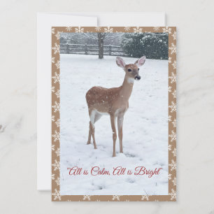 Winter Wildlife Fawn Snow Scene Holiday Card