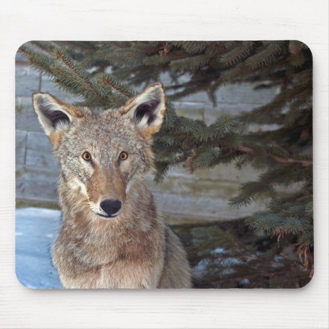 Winter Wildlife Mouse Mat (Front)