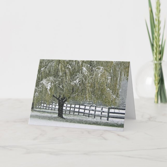 Winter Willow Holiday Card (Front)