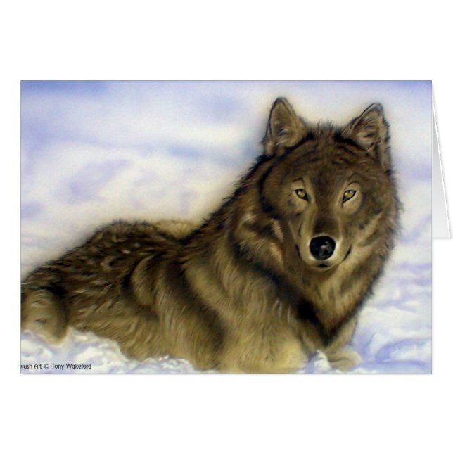 WInter Wolf (Front Horizontal)