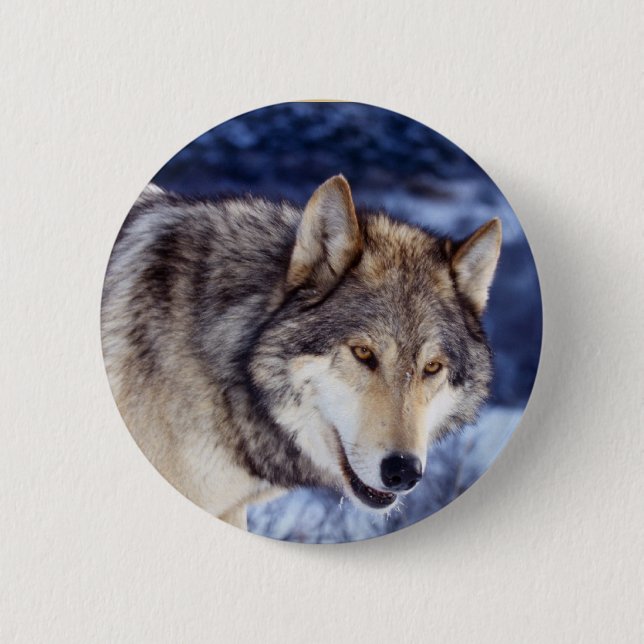 Winter Wolf 2 6 Cm Round Badge (Front)