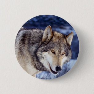Winter Wolf 2 6 Cm Round Badge