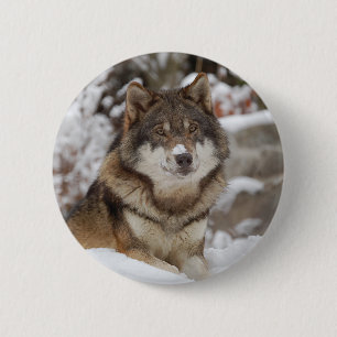 Winter Wolf 6 Cm Round Badge