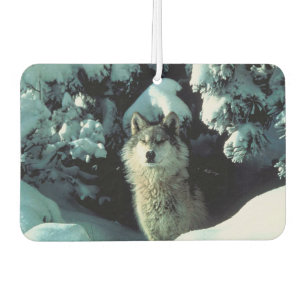 Winter Wolf Car Air Freshener