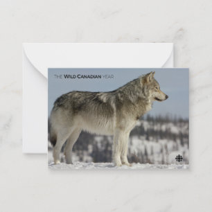 Winter - Wolf Card