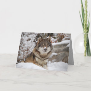 Winter Wolf Card