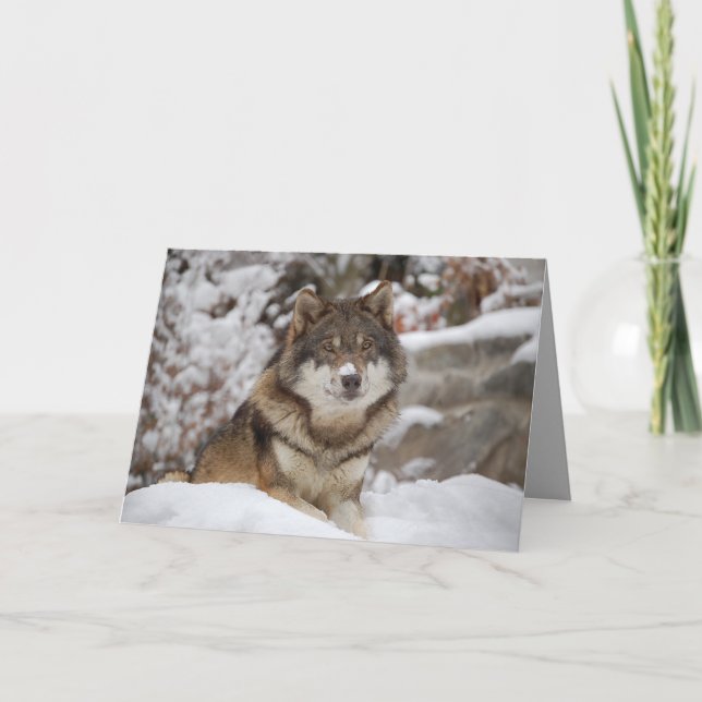 Winter Wolf Card (Front)
