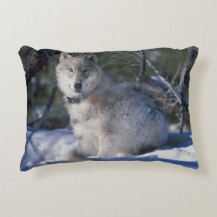 Winter Wolf Decorative Cushion