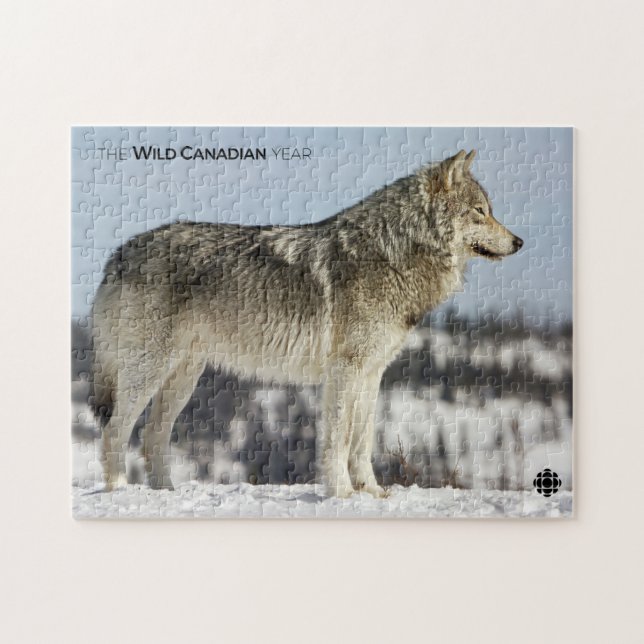 Winter - Wolf Jigsaw Puzzle (Horizontal)