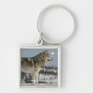 Winter - Wolf Key Ring