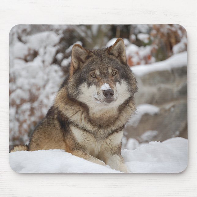 Winter Wolf Mouse Mat (Front)