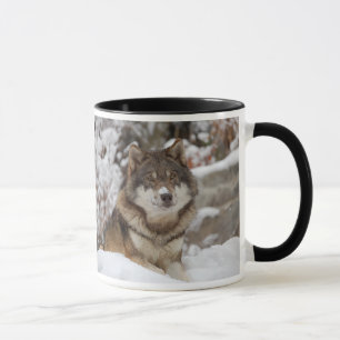 Winter Wolf Mug