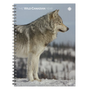 Winter - Wolf Notebook