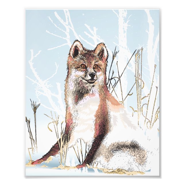 Winter Wolf Photo Print (Front)