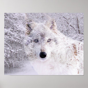 Winter wolf poster
