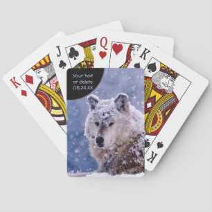 Winter Wolf Resting - Customise Playing Cards
