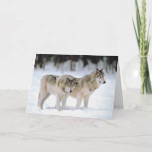 Winter Wolves Snow Xmas Holiday Christmas Blank