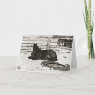 Winter Wonder Holiday Card