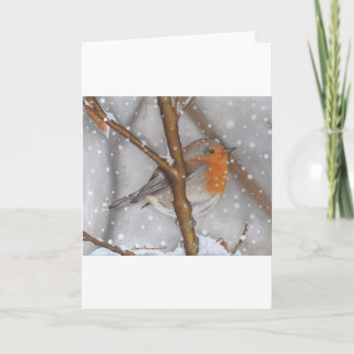 Winter Wonder Holiday Card