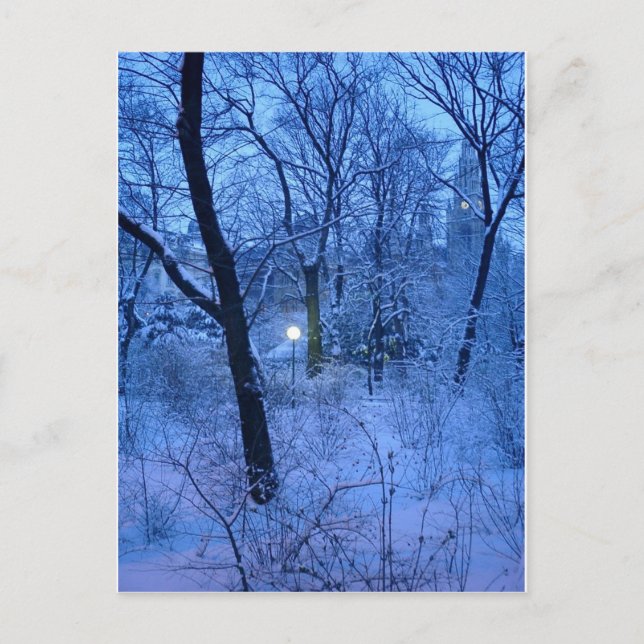 Winter Wonder Land Postcard (Front)