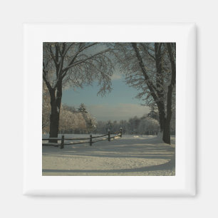 winter wonderland 1 magnet