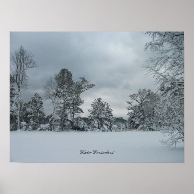 Winter Wonderland 1 Poster (Front)