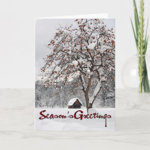 Winter Wonderland 2 (Season's Greetings) Holiday Card