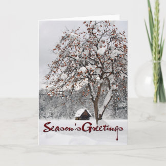 Winter Wonderland 2 (Season's Greetings) Holiday Card