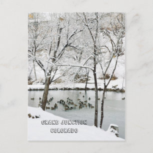 Winter Wonderland at Duck Pond Park Postcard