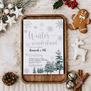 Winter wonderland birthday invitation silver 
