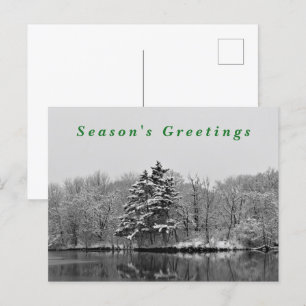 Winter Wonderland Black & White Snow Photography  Holiday Postcard