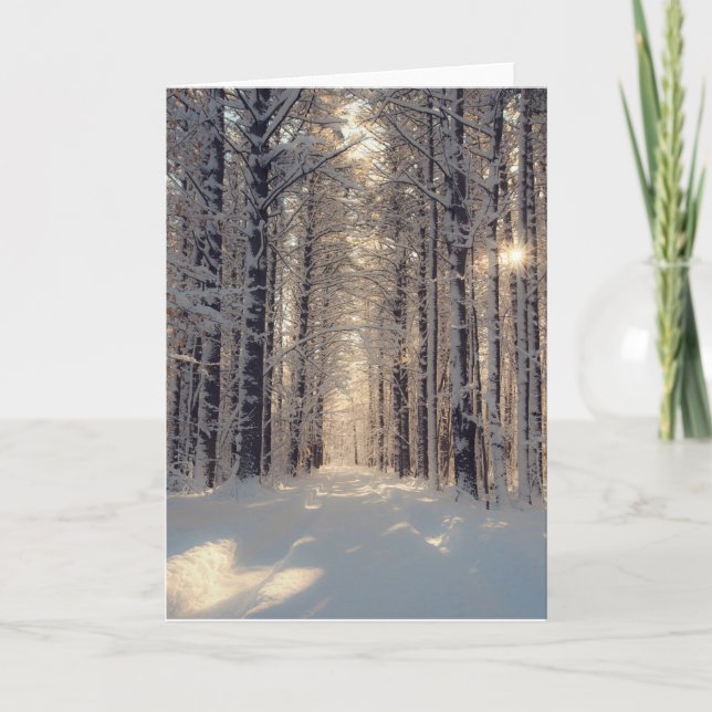 Winter Wonderland Blank Greeting Card (Front)