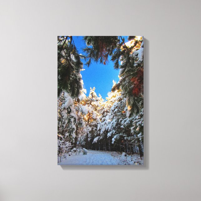 Winter Wonderland Canvas Print (Front)
