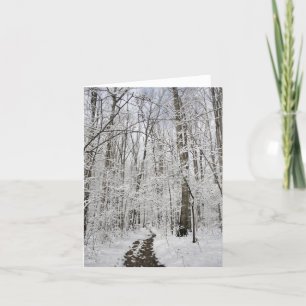 Winter Wonderland Card