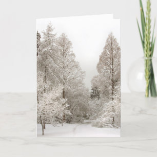 Winter Wonderland Cards Custom Christmas Cards