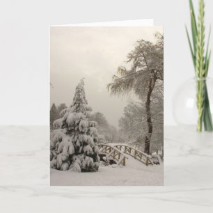 Winter Wonderland Cards Seasons Greetings Cards