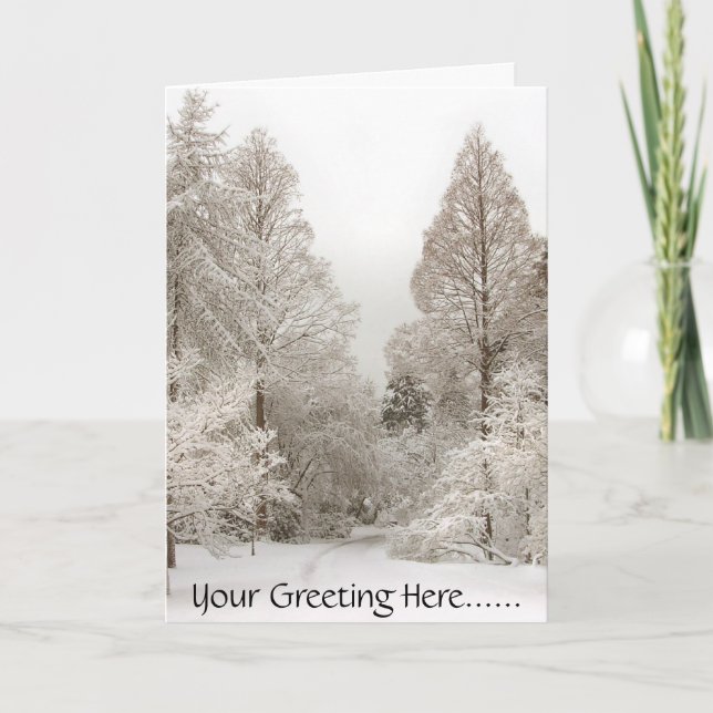 Winter Wonderland Cards Seasons Greetings Cards (Front)