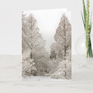 Winter Wonderland Cards Seasons Greetings Cards