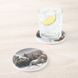 Winter Wonderland Coaster