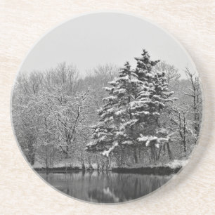 Winter Wonderland Coaster