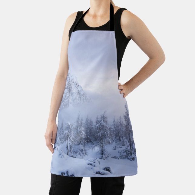 Winter wonderland, fog, spruce forest and mountain apron (Insitu)