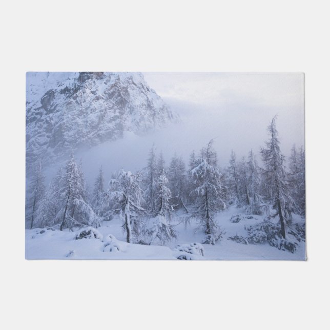Winter wonderland, fog, spruce forest and mountain doormat (Front)