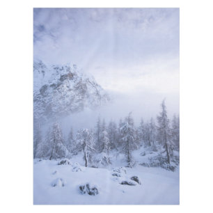 Winter wonderland, fog, spruce forest and mountain tablecloth