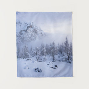 Winter wonderland, fog, spruce forest and mountain tapestry