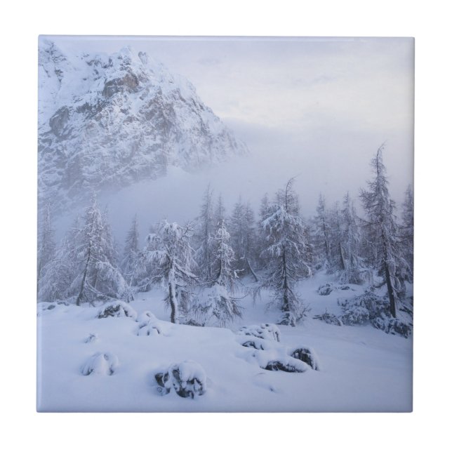 Winter wonderland, fog, spruce forest and mountain tile (Front)